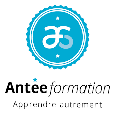 Publication Image - Antee Formation